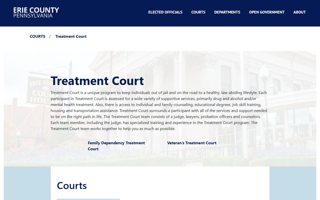 Erie County Treatment Court program in the Court of Common Pleas