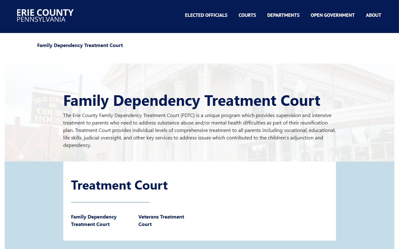 Erie County Family Dependency Treatment Court